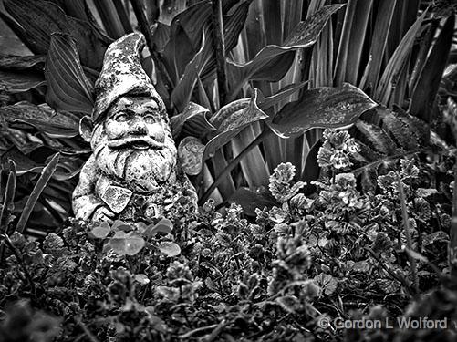 Garden Gnome_P1130445-7.jpg - Photographed at Smiths Falls, Ontario, Canada.